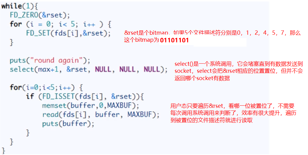 image-20231203065151715