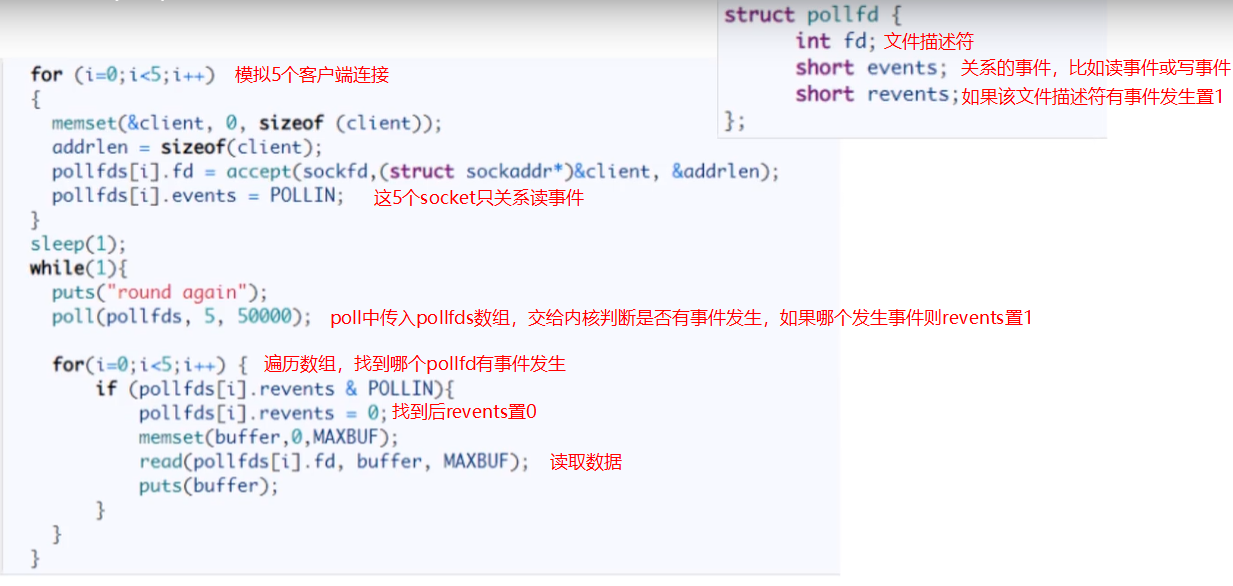 image-20231203065542585