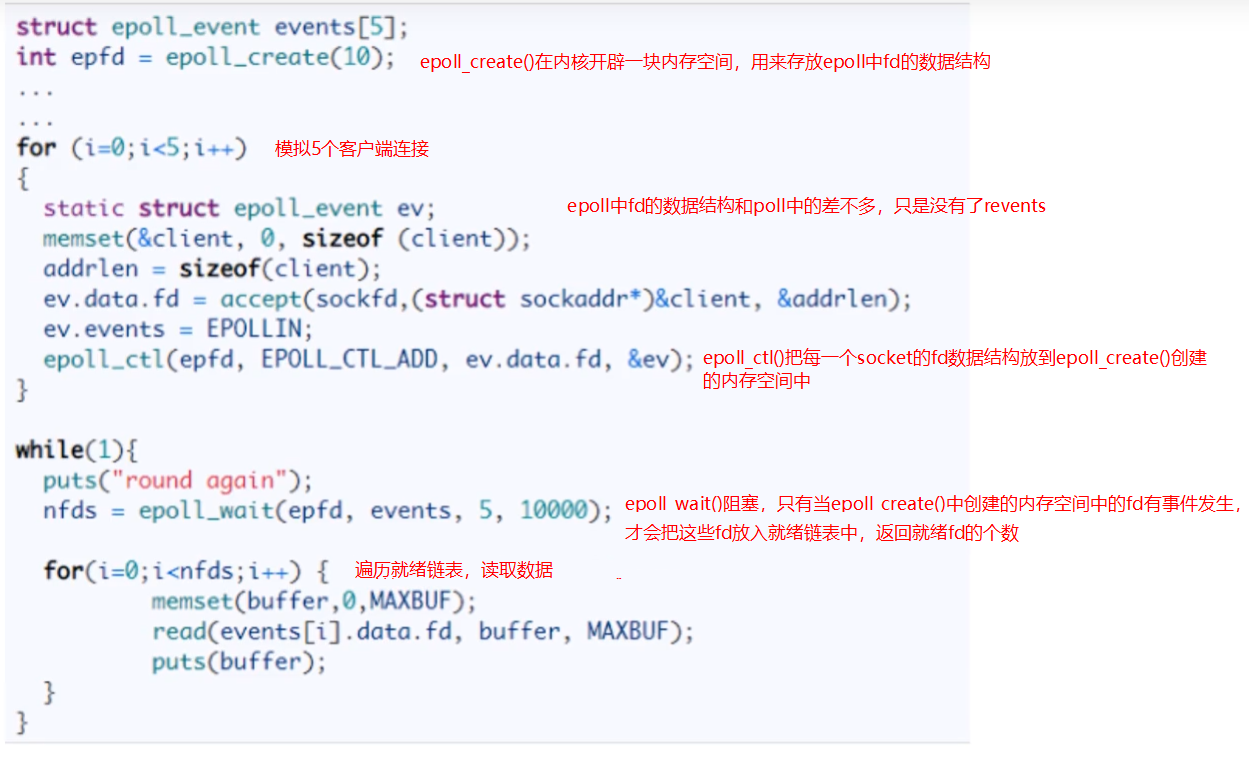 image-20231203065941220