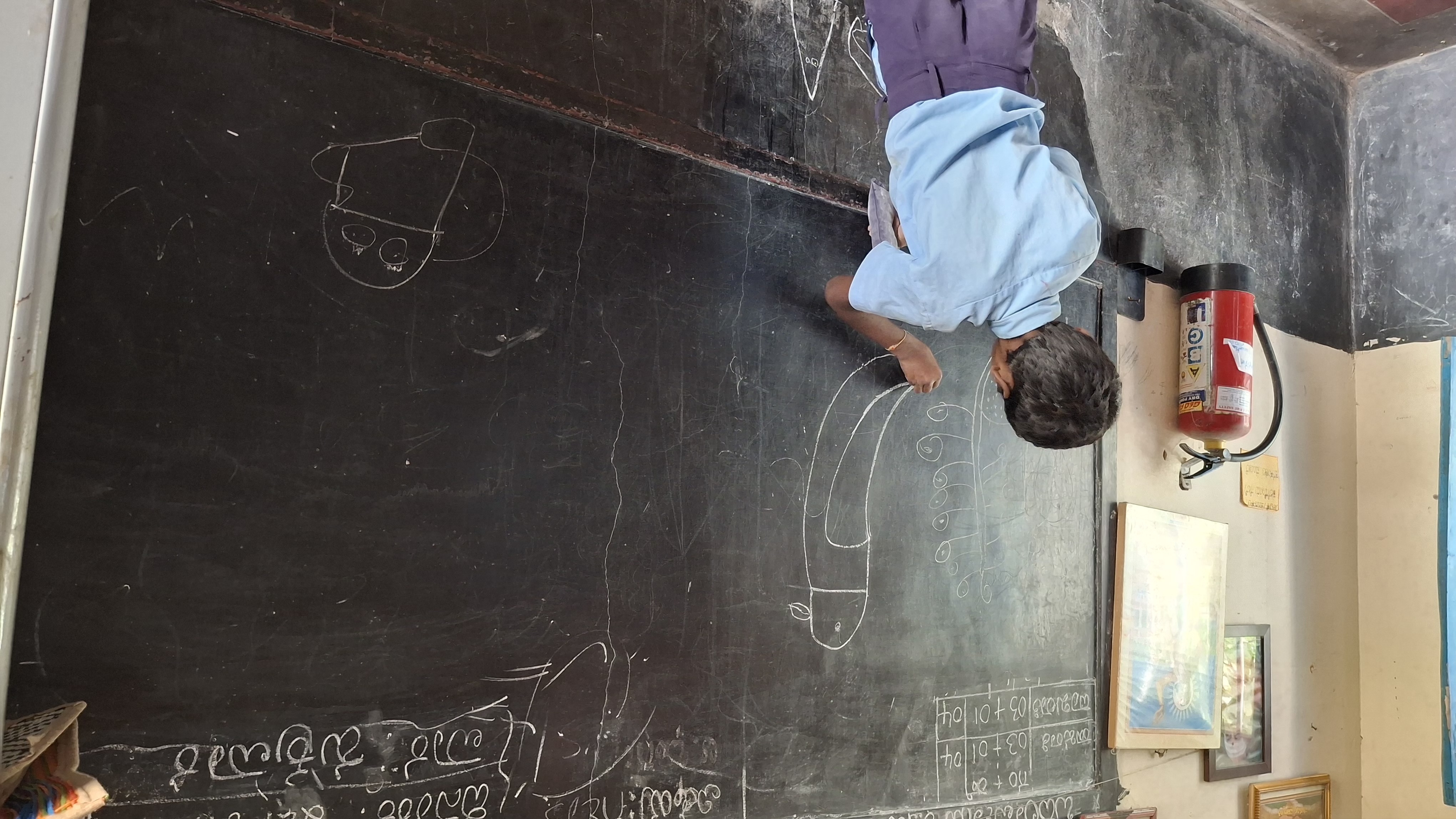 Volunteers planting trees