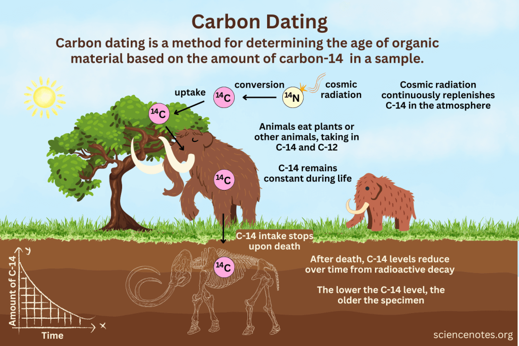 Carbon Dating