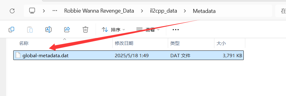 image-20250528233715951
