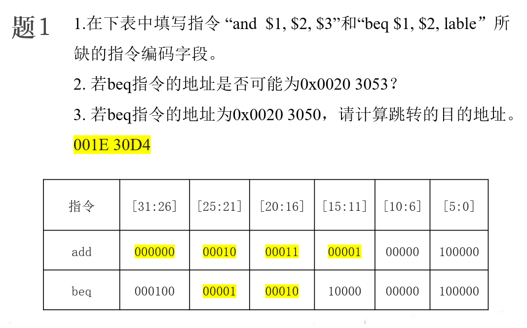 image-20241220195518838