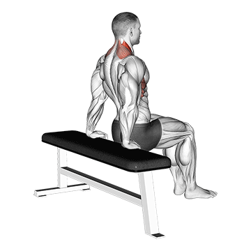 scapula dips