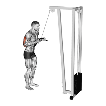 cable pushdown