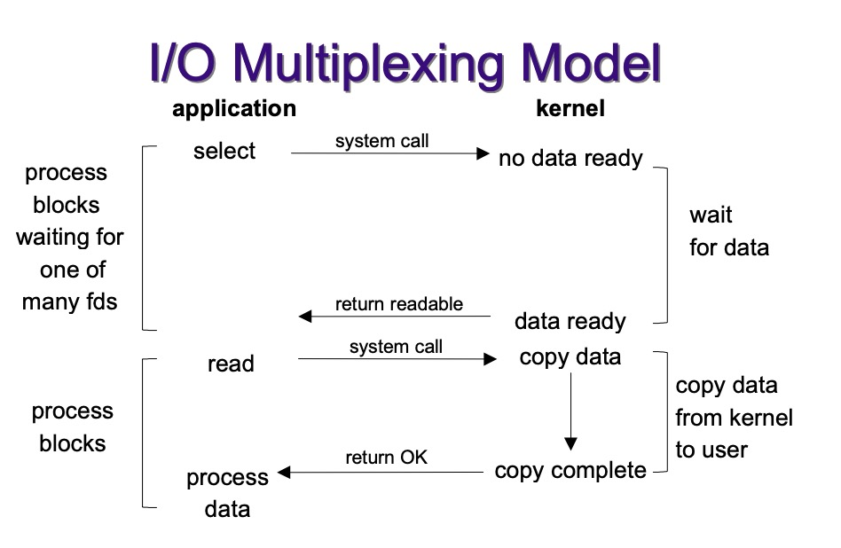 Journey-C：IO 多路复用