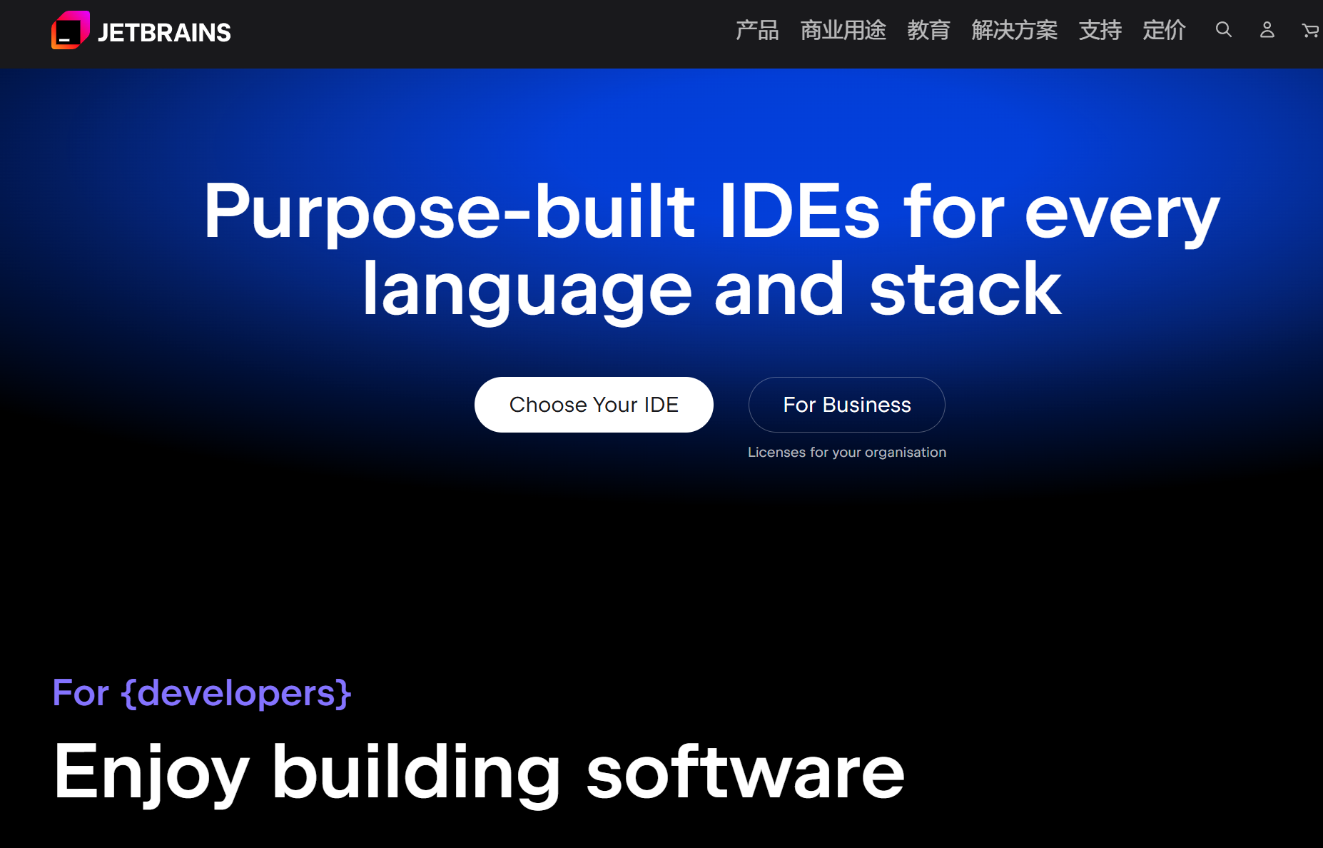 白嫖 IntelliJ IDEA 专业版:学生免费教育许可证申请全流程