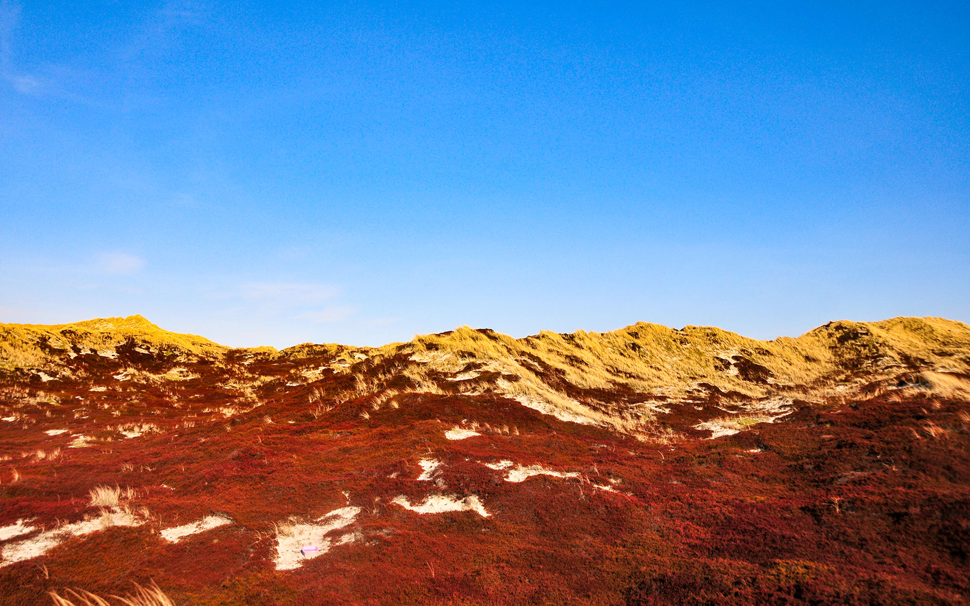 2010.04_Hornumer-Strasse_Sylt_Schleswig-Holstein_Germany_03