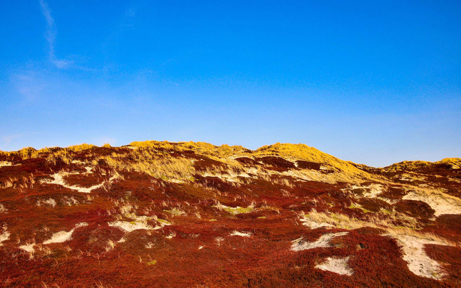 2010.04_Hornumer-Strasse_Sylt_Schleswig-Holstein_Germany_04