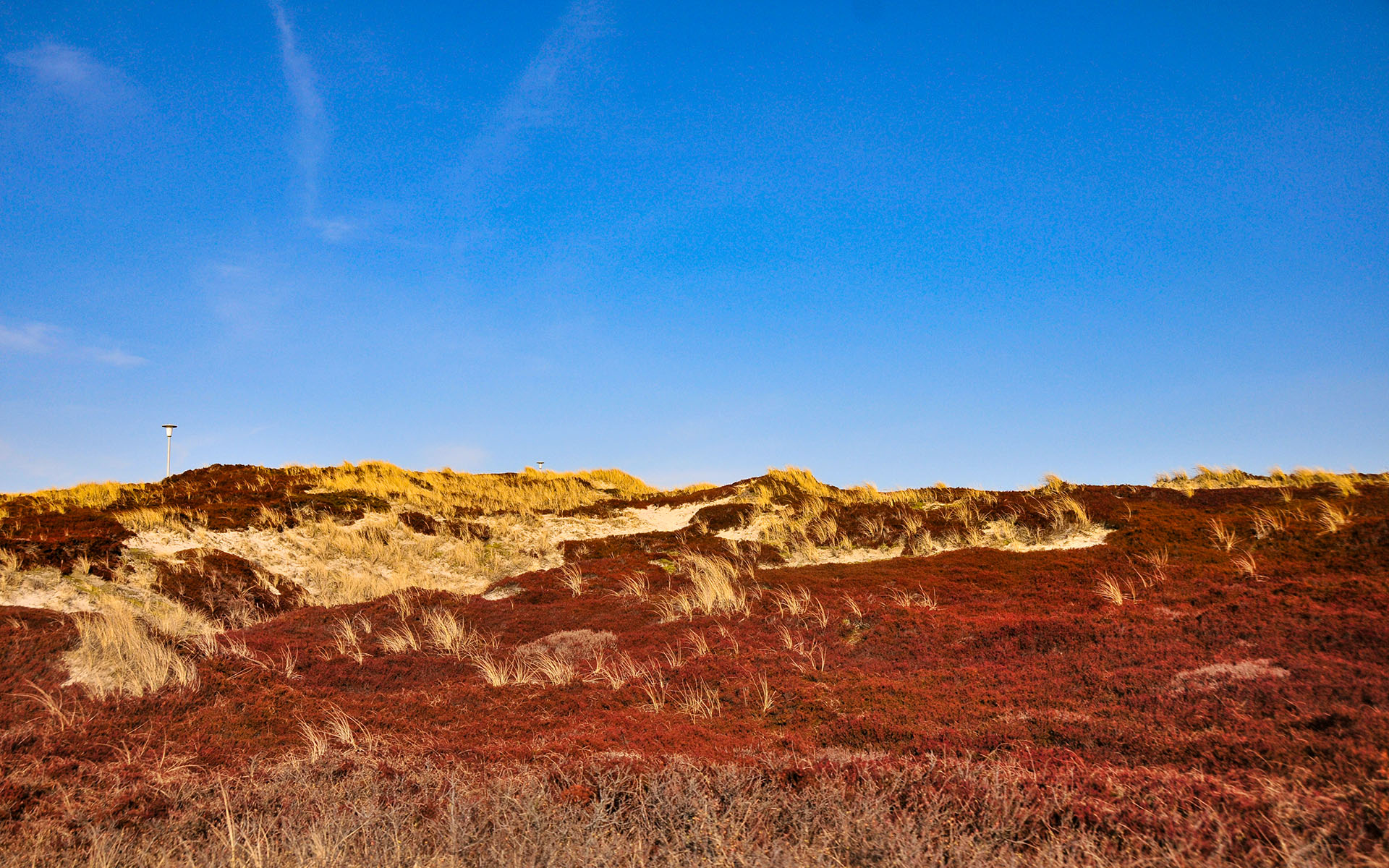 2010.04_Hornumer-Strasse_Sylt_Schleswig-Holstein_Germany_05