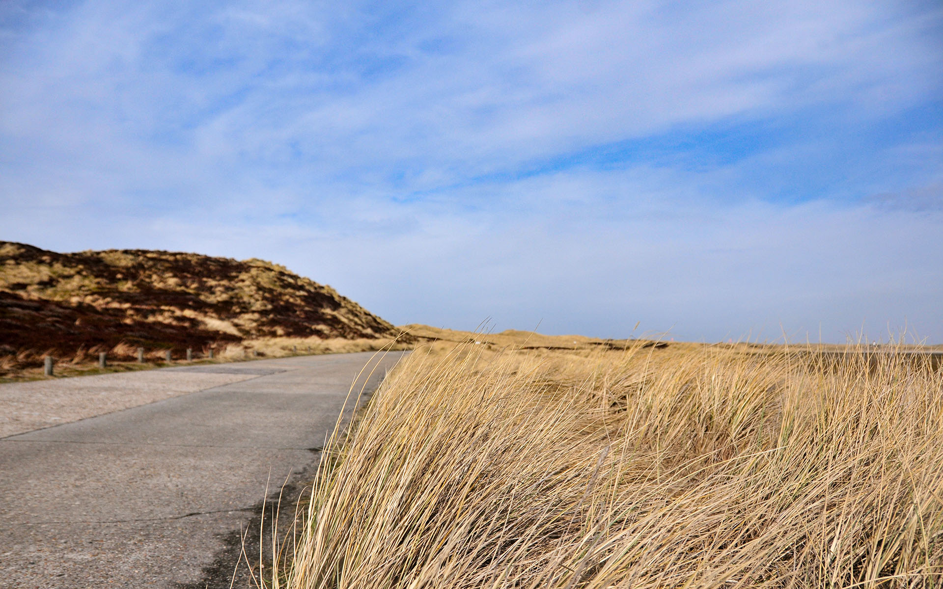 2010.04_Movenbergstrasse_Sylt_Schleswig-Holstein_Germany_03