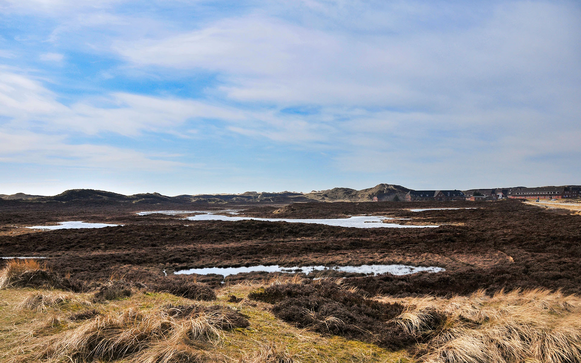 2010.04_Movenbergstrasse_Sylt_Schleswig-Holstein_Germany_06