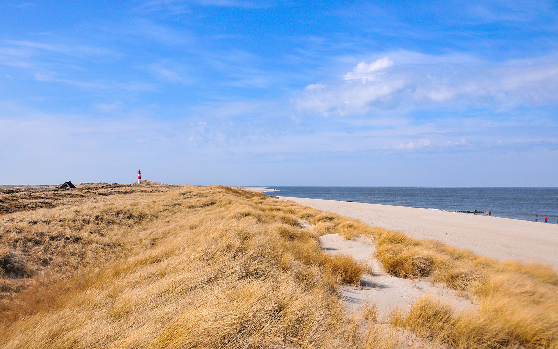2010.04_Sylt-Weststrand_Sylt_Schleswig-Holstein_Germany_06