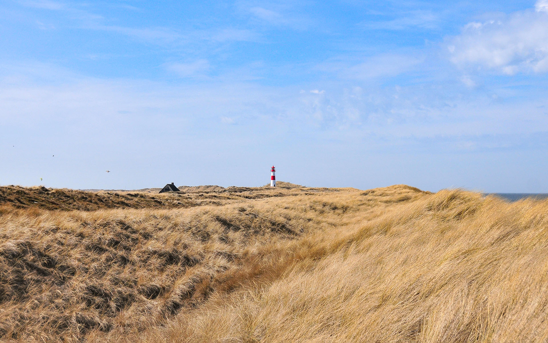 2010.04_Sylt-Weststrand_Sylt_Schleswig-Holstein_Germany_07