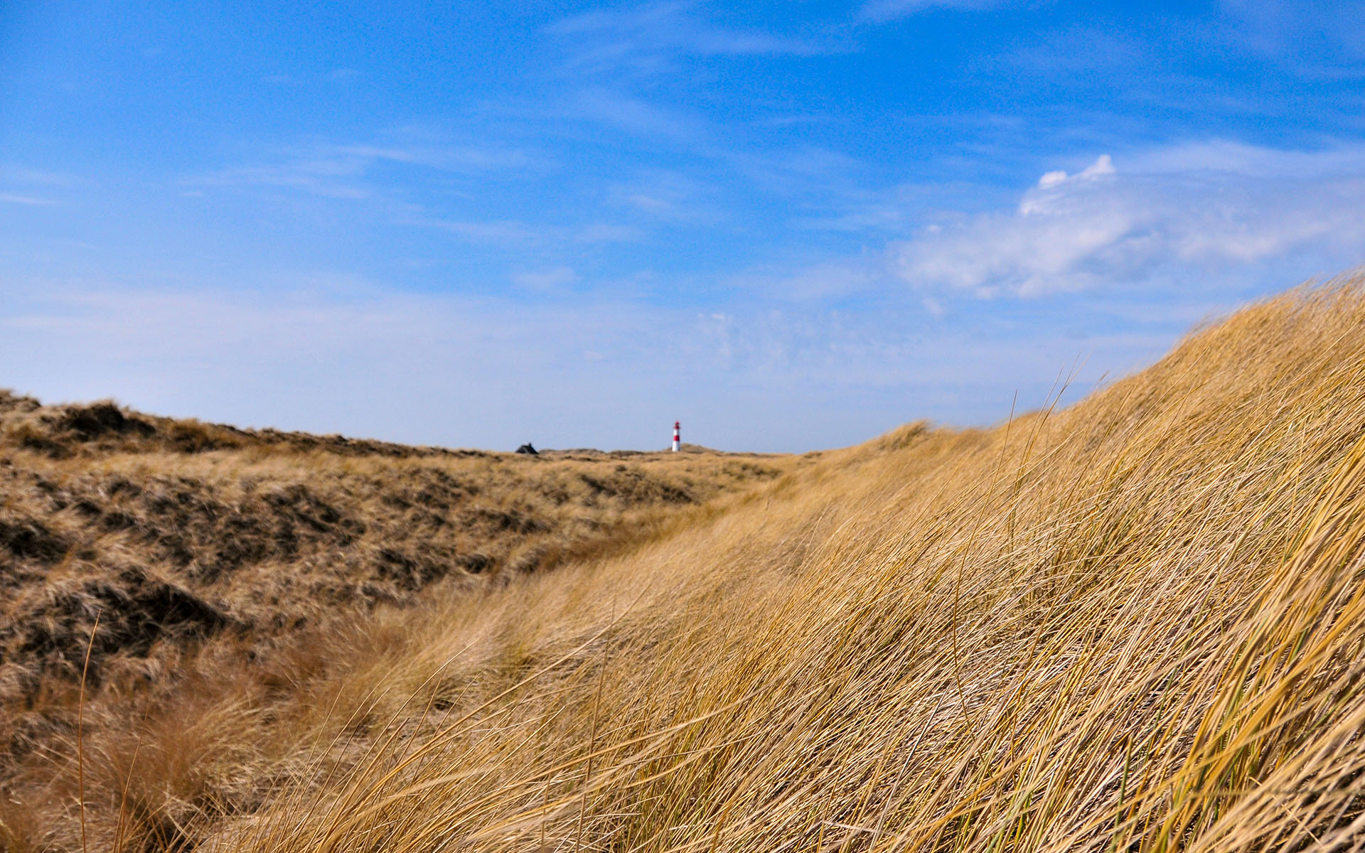 2010.04_Sylt-Weststrand_Sylt_Schleswig-Holstein_Germany_08