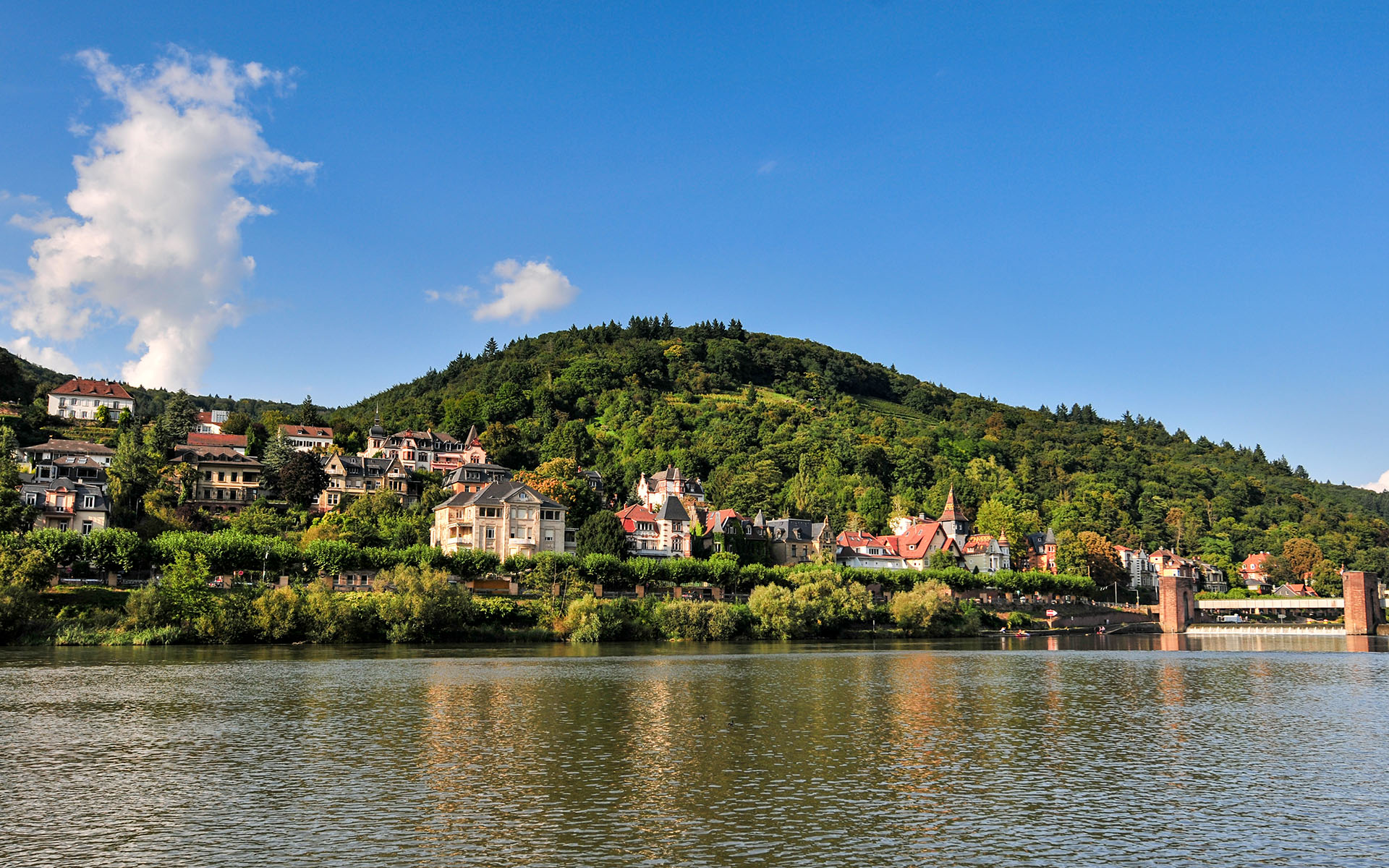 2010.09_Altstadt_Heidelberg_Baden-Wurttemberg_Germany_09