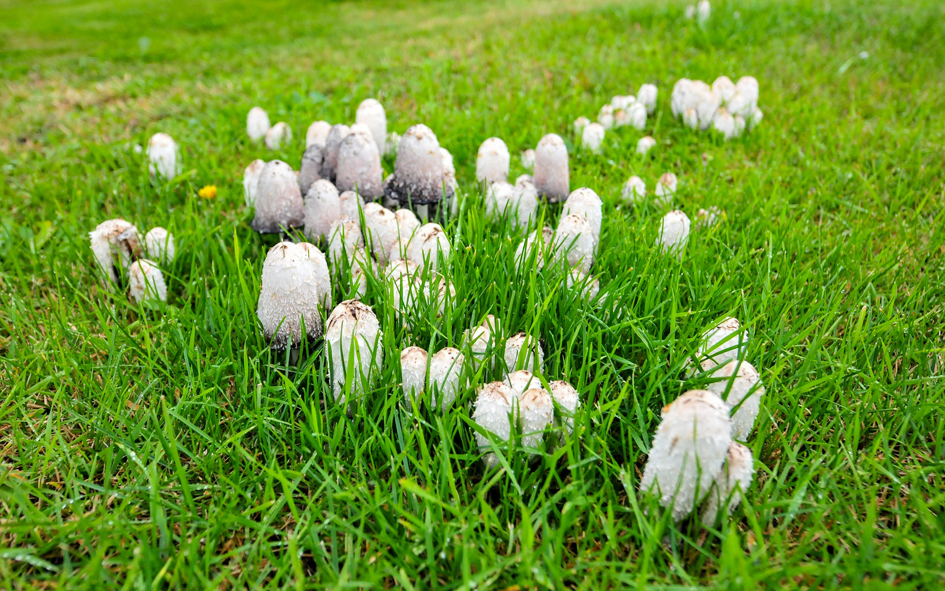 2010.09_Blonduos_Northwestern-Region_Iceland_09