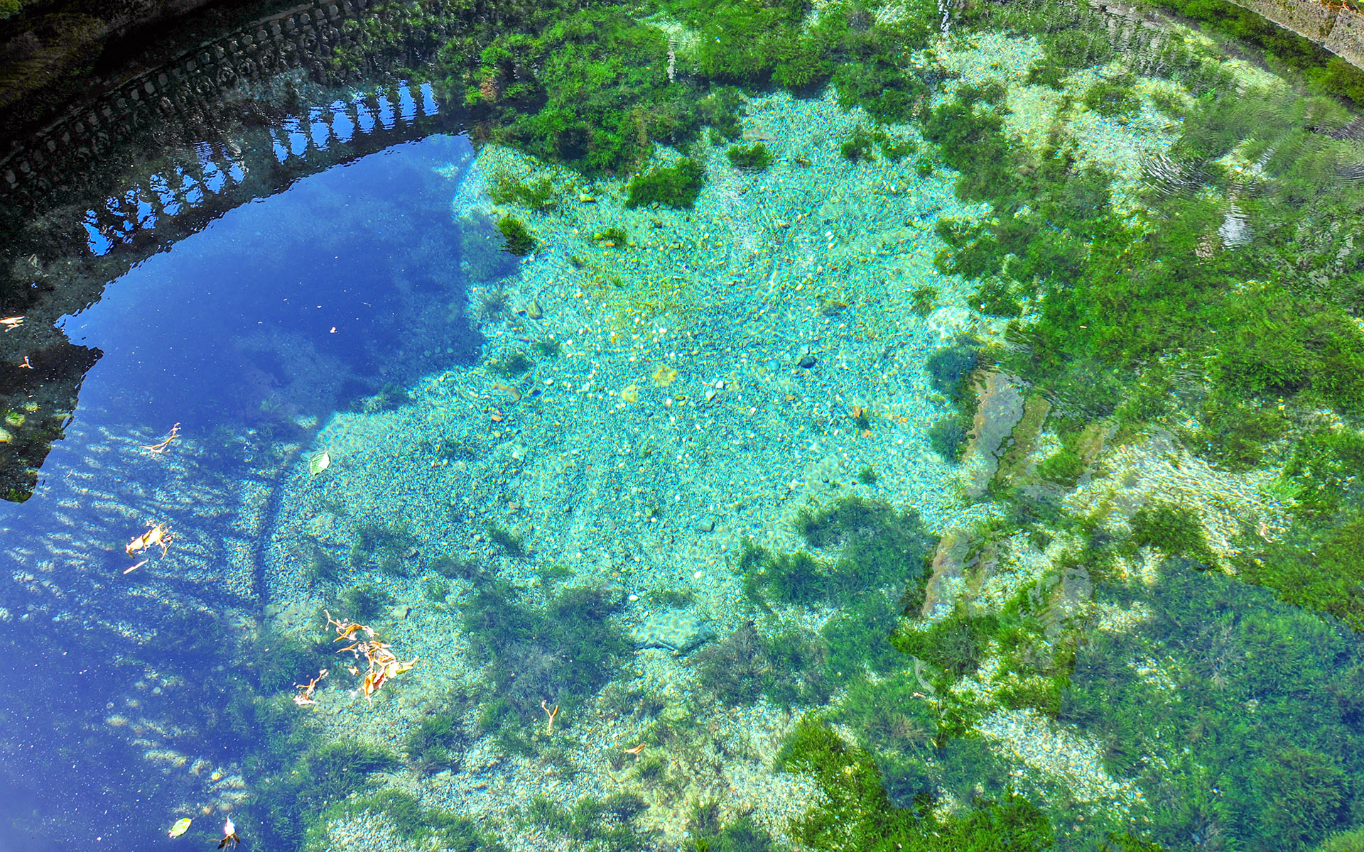 2010.09_Donauquelle_Donaueschingen_Baden-Wurttemberg_Germany_09