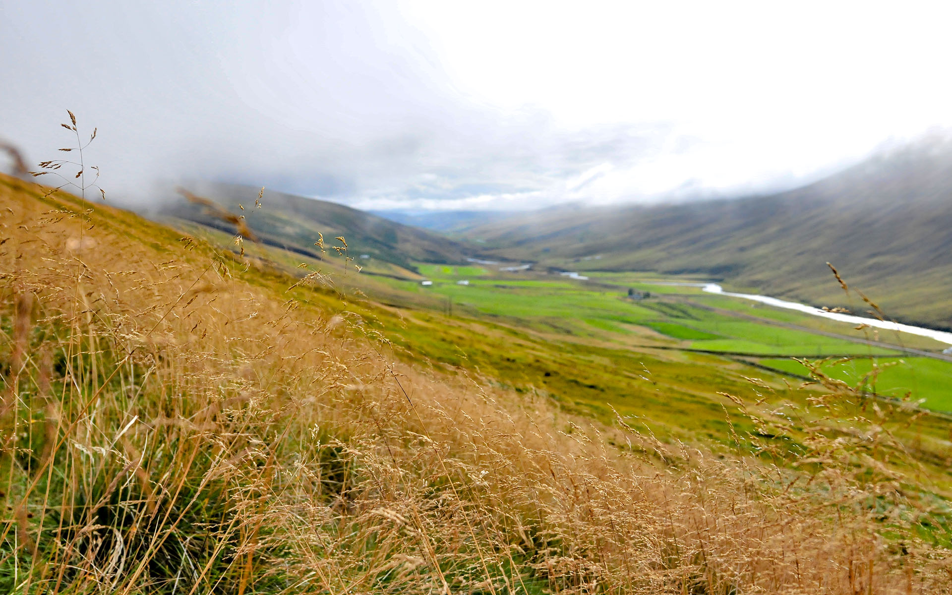 2010.09_Langidalur_Austur-Hunavatnssysla_Northwestern-Region_Iceland_05