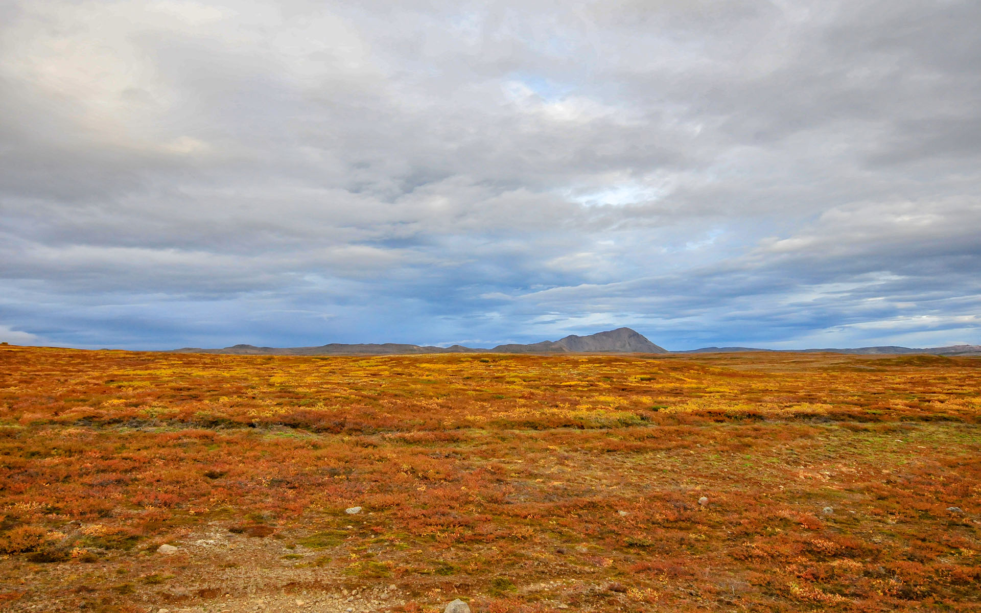 2010.09_Myvatn_Northeastern-Region_Iceland_02