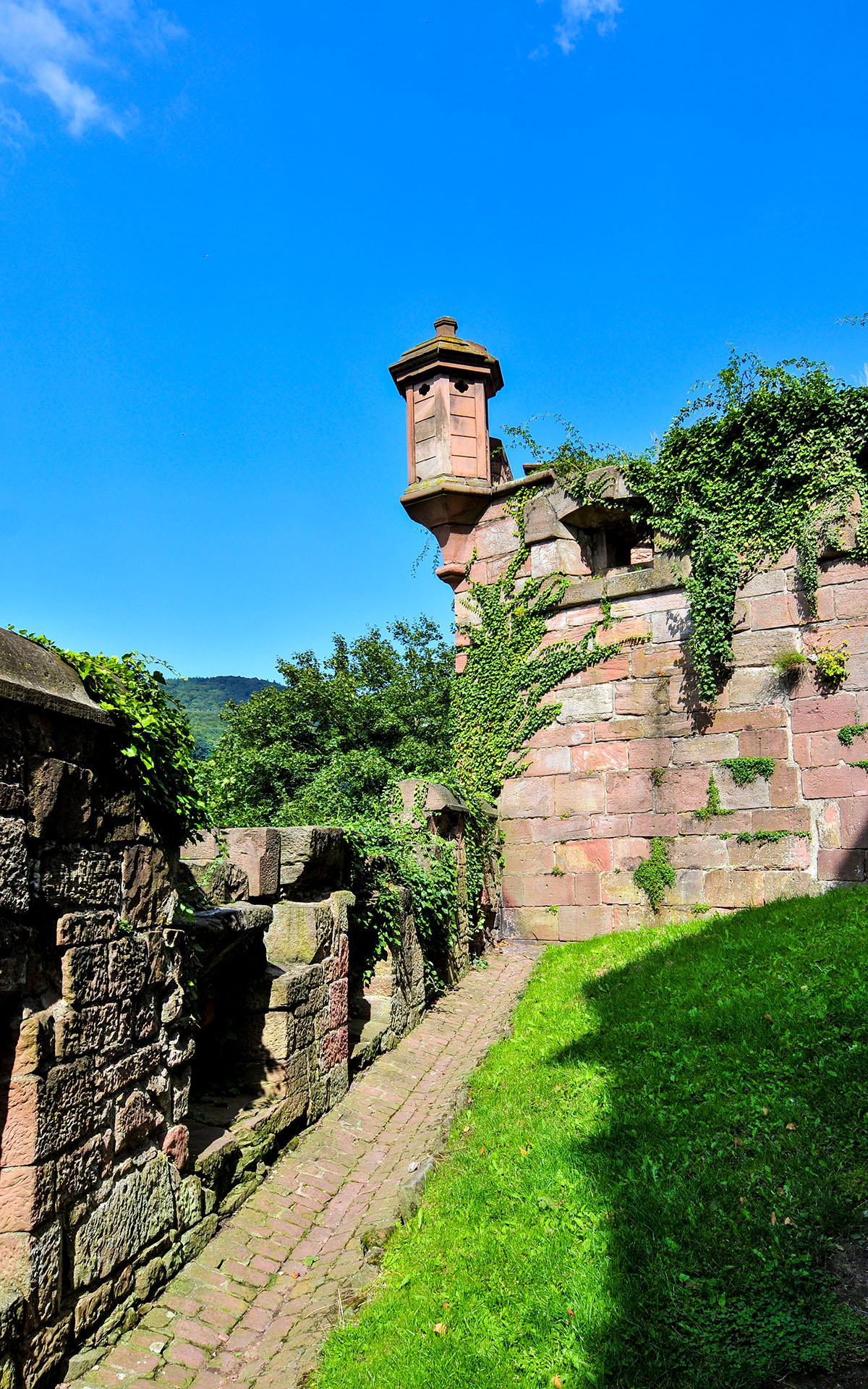 2010.09_Schloss-Heidelberg_Heidelberg_Baden-Wurttemberg_Germany_07
