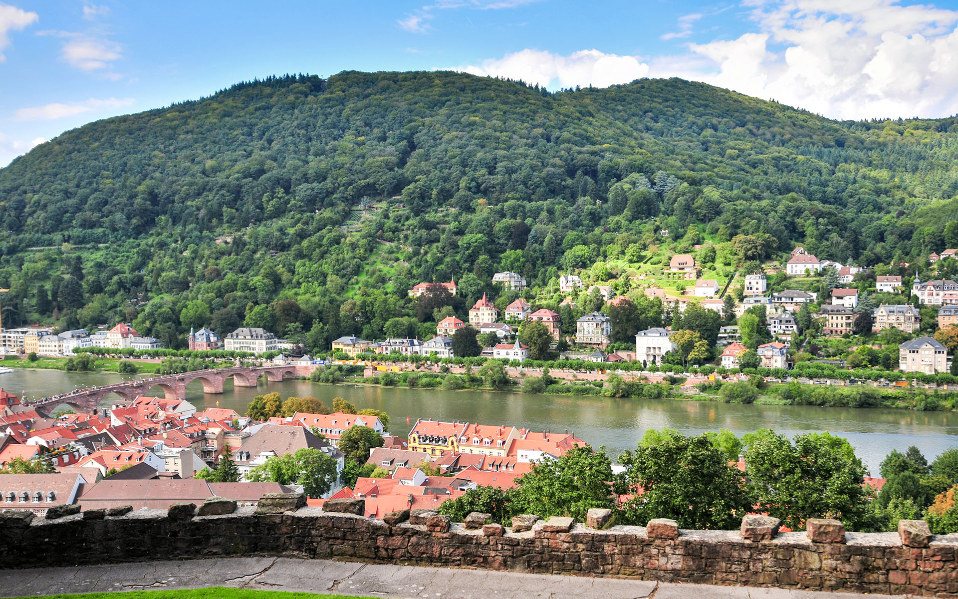 2010.09_Schloss-Heidelberg_Heidelberg_Baden-Wurttemberg_Germany_09
