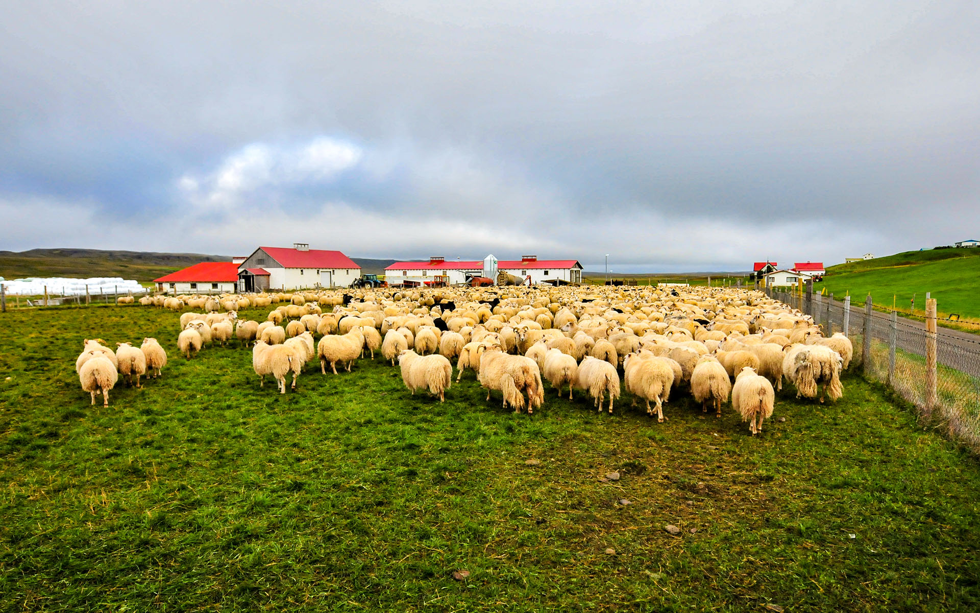 2010.09_Stora-Asgeirsa-Farm_Northwestern-Region_Iceland_01
