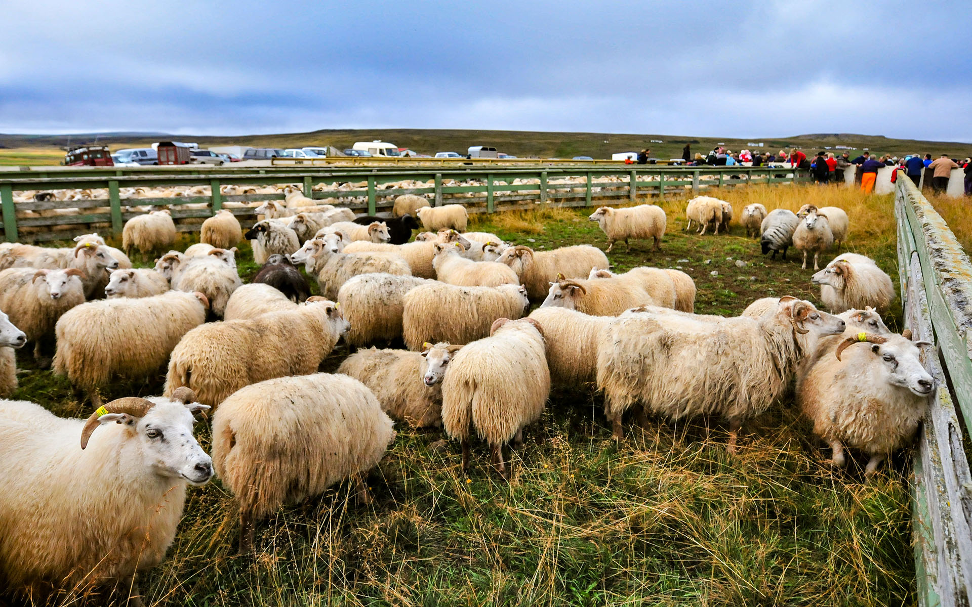 2010.09_Stora-Asgeirsa-Farm_Northwestern-Region_Iceland_03