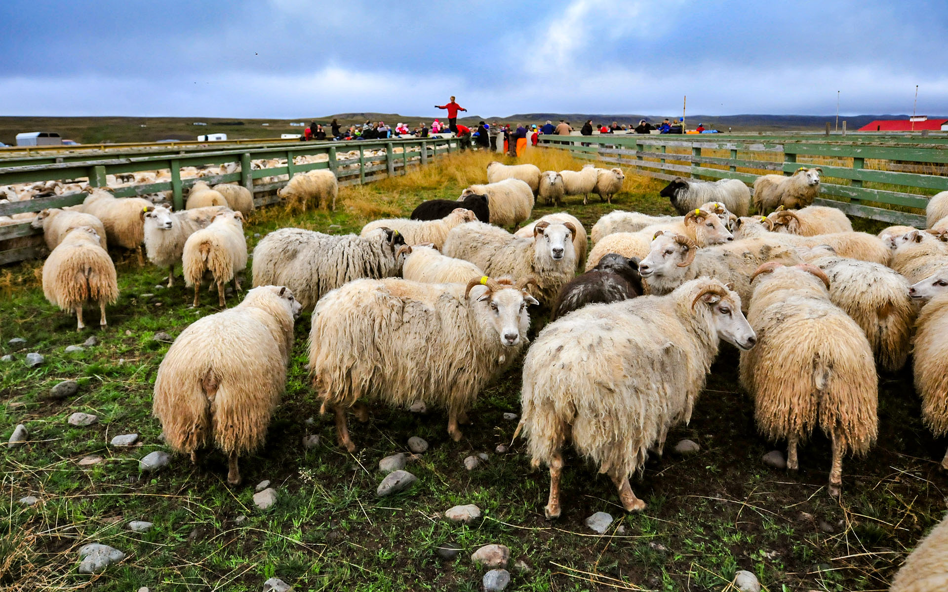 2010.09_Stora-Asgeirsa-Farm_Northwestern-Region_Iceland_05