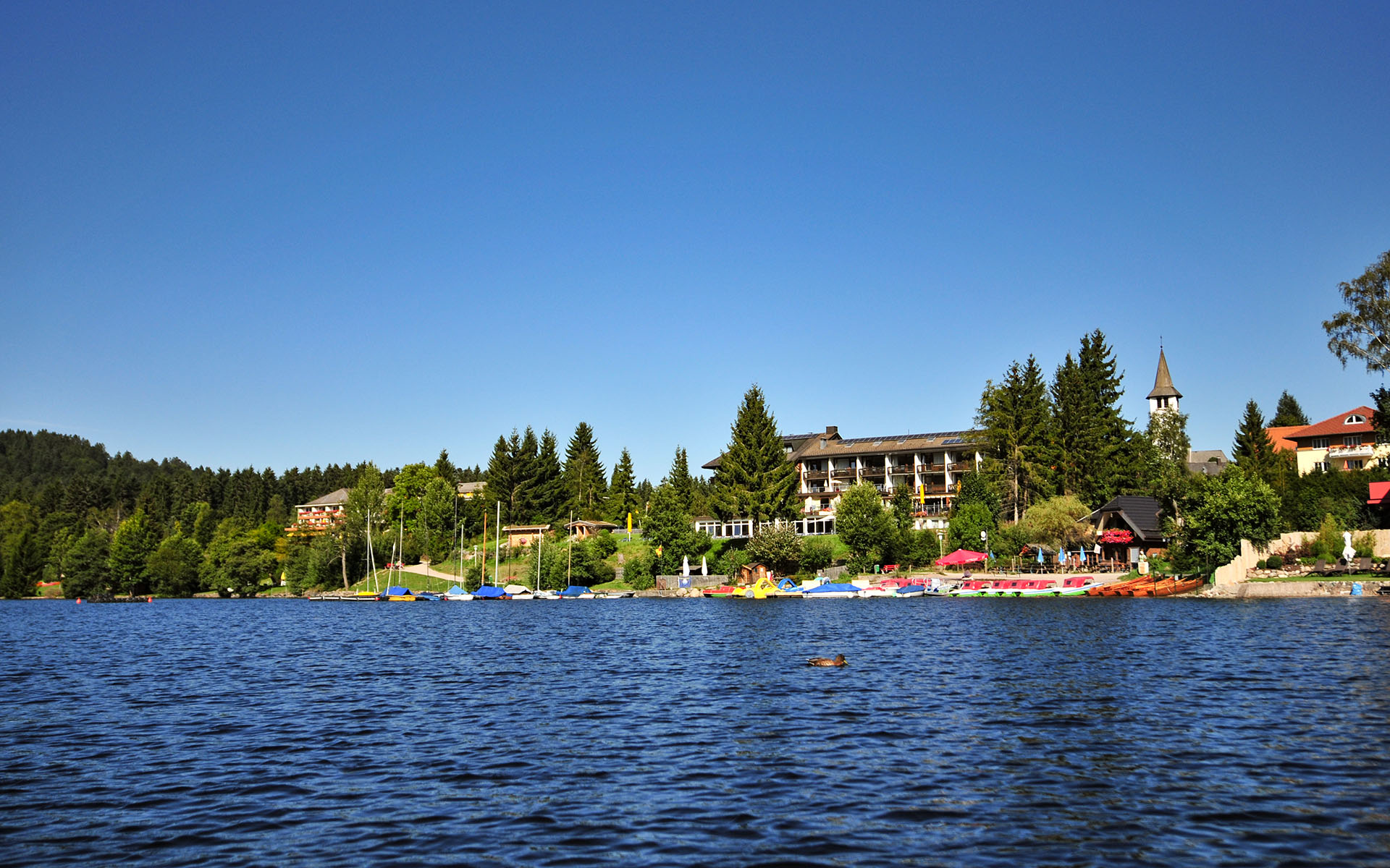 2010.09_Titisee_Titisee-Neustadt_Baden-Wurttemberg_Germany_07