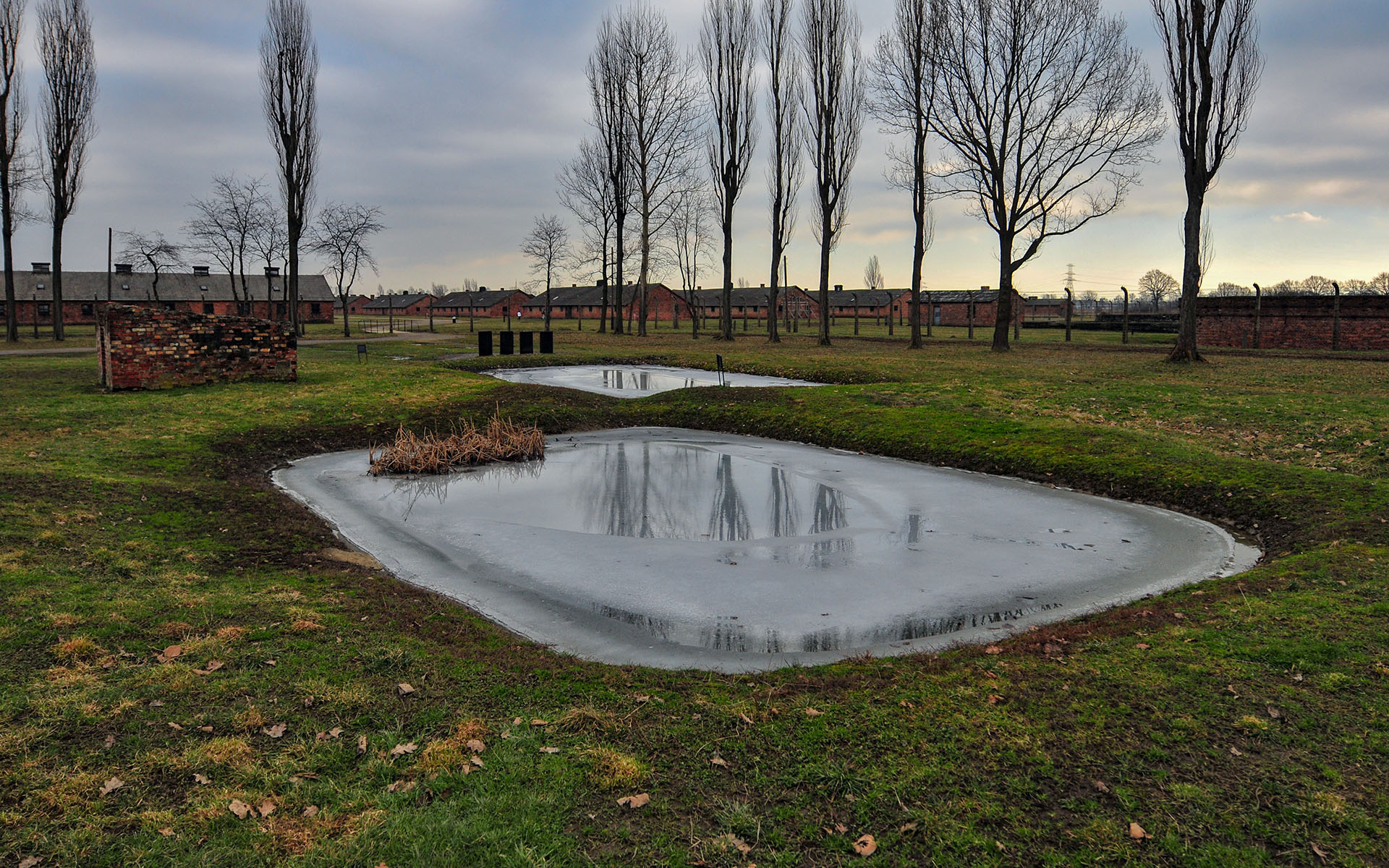 2011.02_Auschwitz-II-Birkenau_Auschwitz-Concentration-Camp_Oswiecim_Lesser-Poland_Poland_07