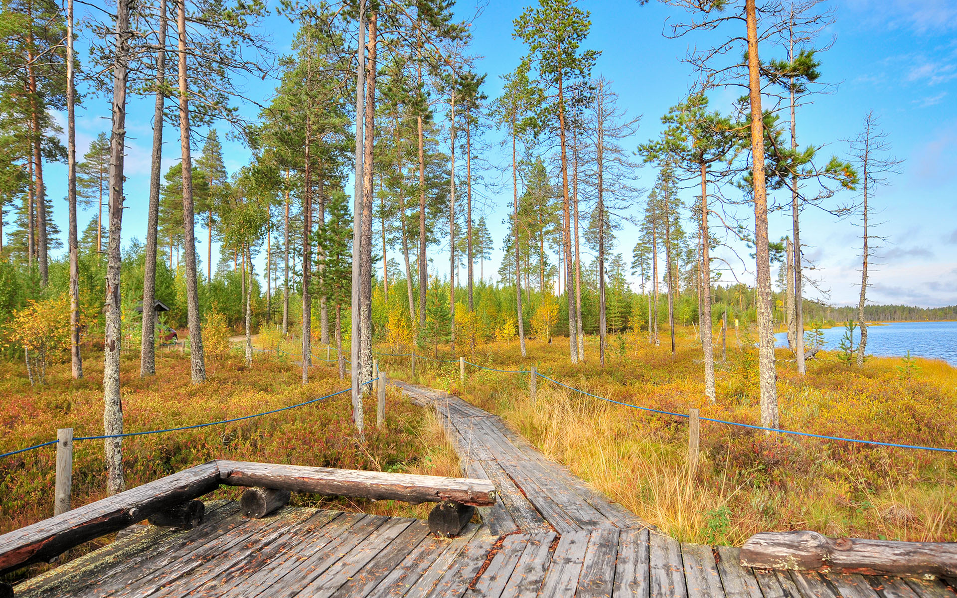 2011.09_Suomen-Itaisin-Piste_Ilomantsi_North-Karelia_Finland_02