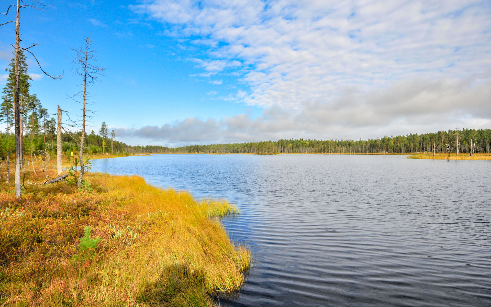 2011.09_Suomen-Itaisin-Piste_Ilomantsi_North-Karelia_Finland_04