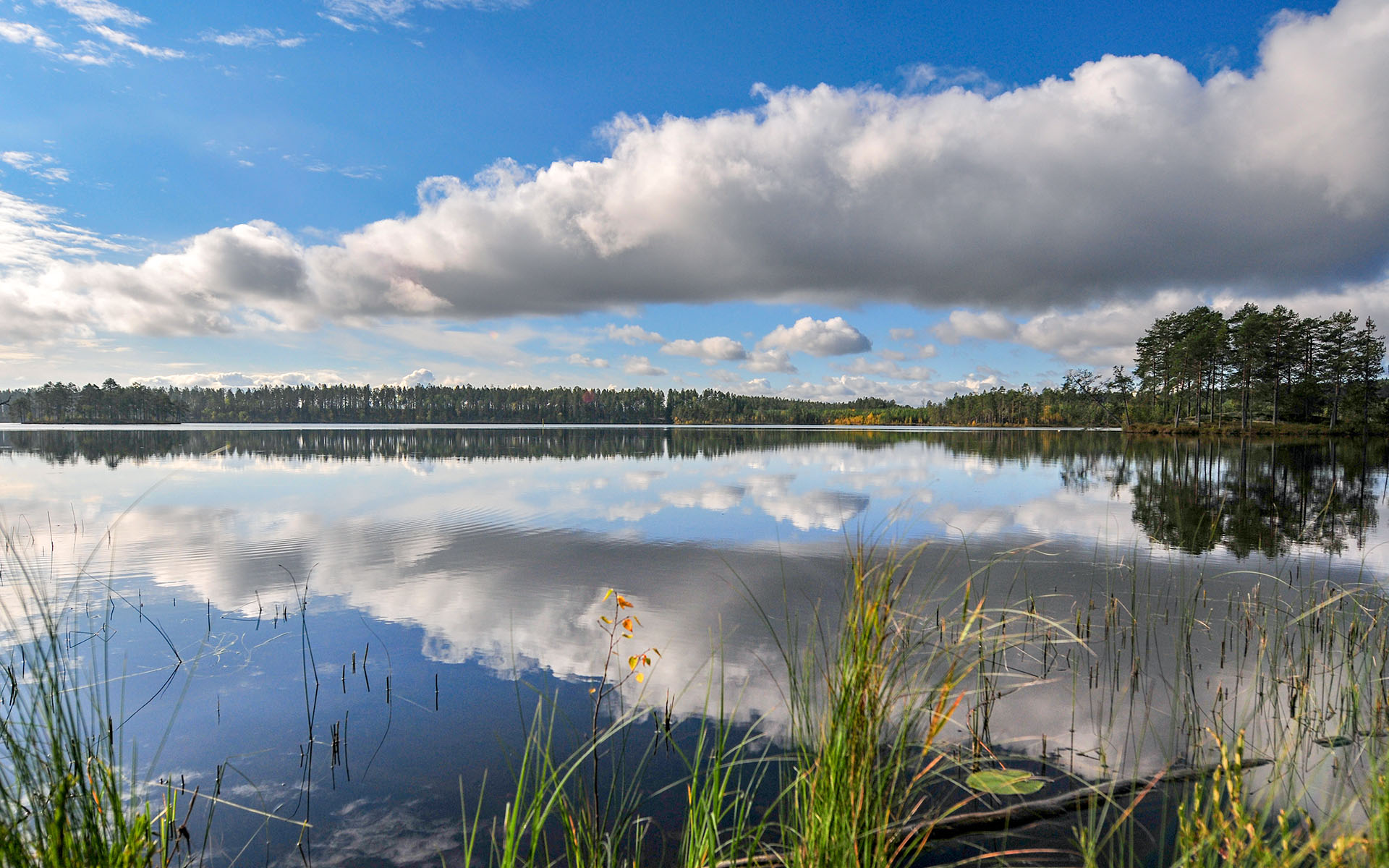 2011.09_Suomen-Itaisin-Piste_Ilomantsi_North-Karelia_Finland_09