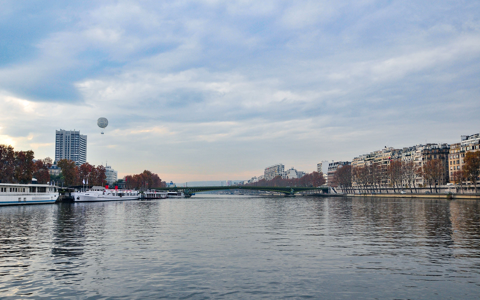 2011.11_Statue-de-la-Liberte_Paris_Ile-de-France_France_06