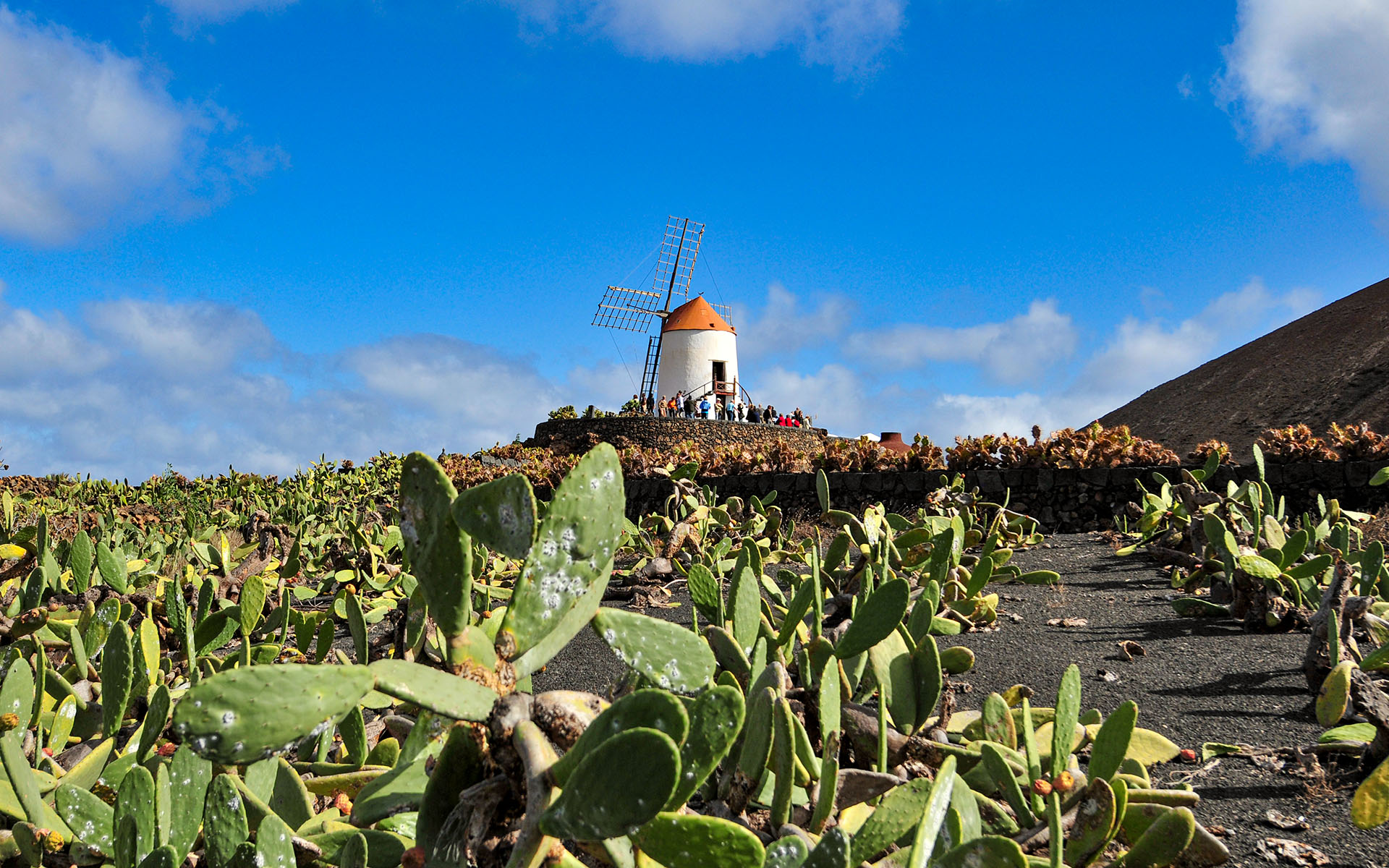 2011.12_Jardin-de-Cactus_Lanzarote_Las-Palmas_Spain_02