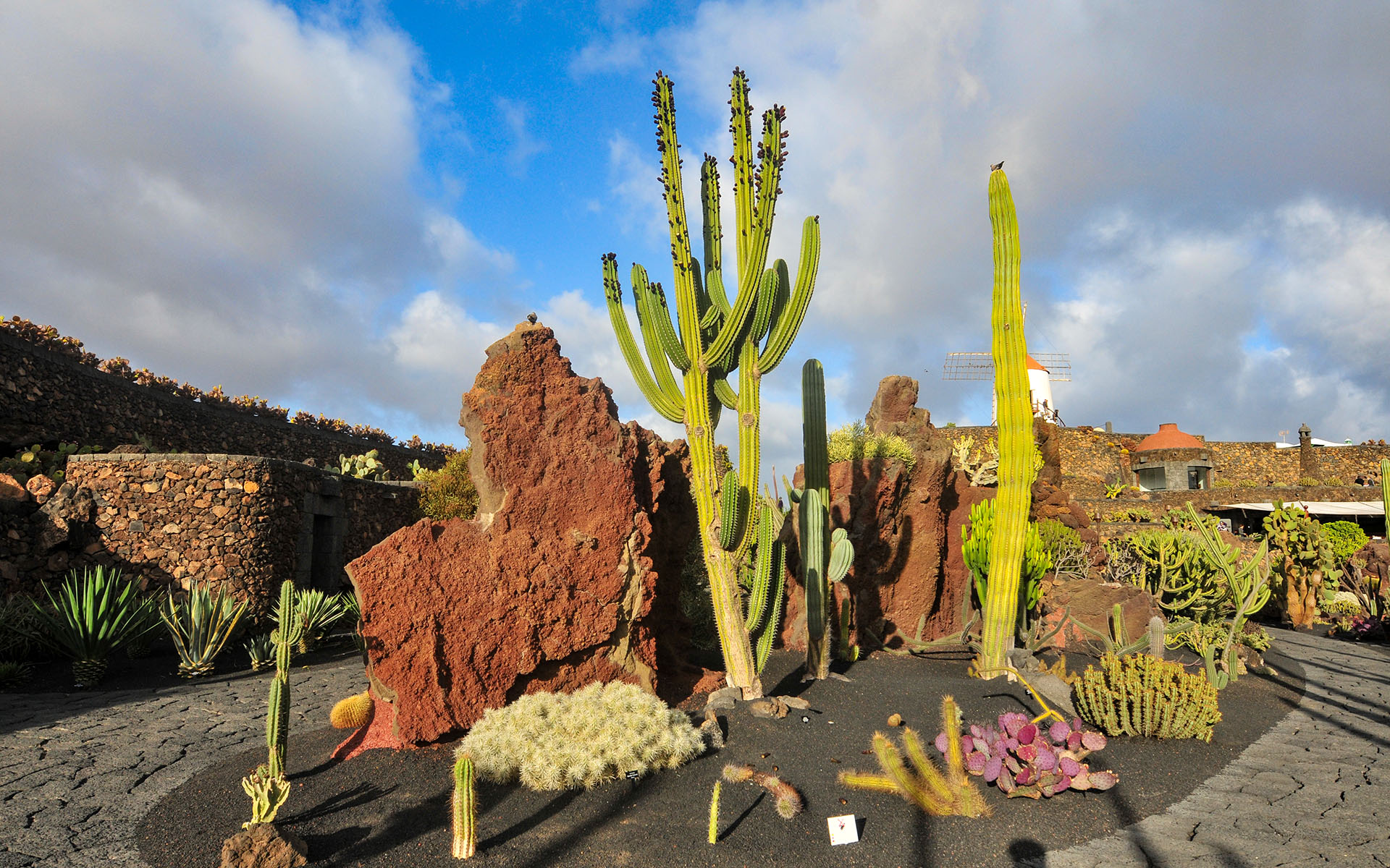 2011.12_Jardin-de-Cactus_Lanzarote_Las-Palmas_Spain_04
