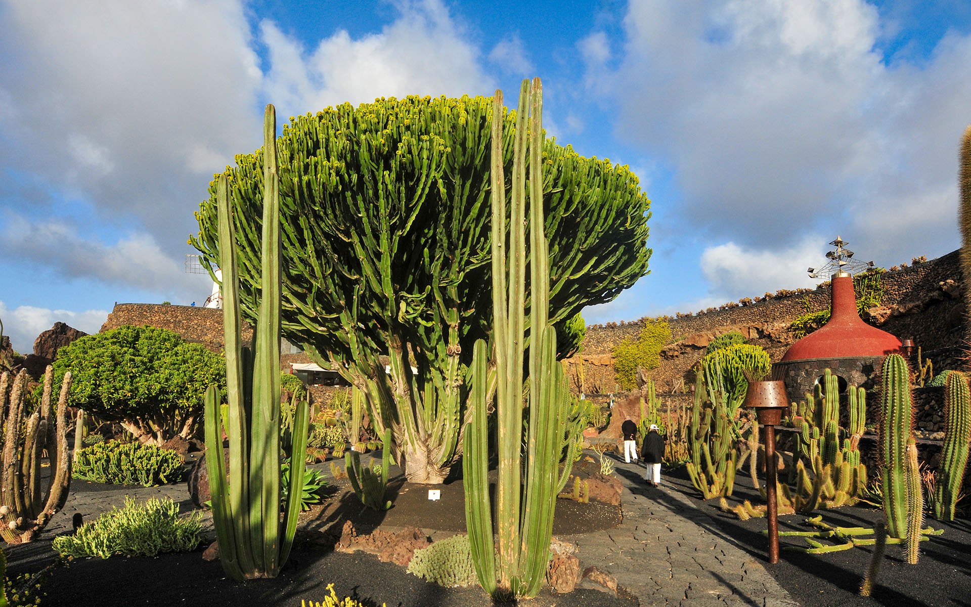 2011.12_Jardin-de-Cactus_Lanzarote_Las-Palmas_Spain_06