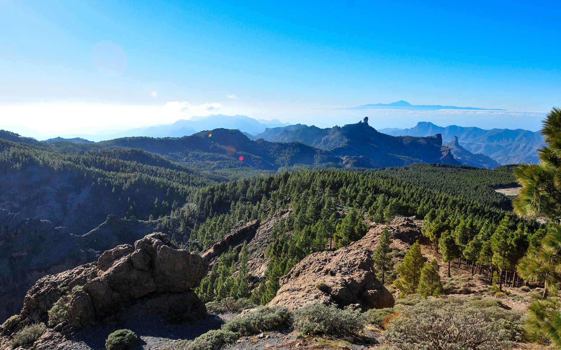 2011.12_Pozo-de-las-Nieves_Gran-Canaria_Canary-Islands_Spain_06