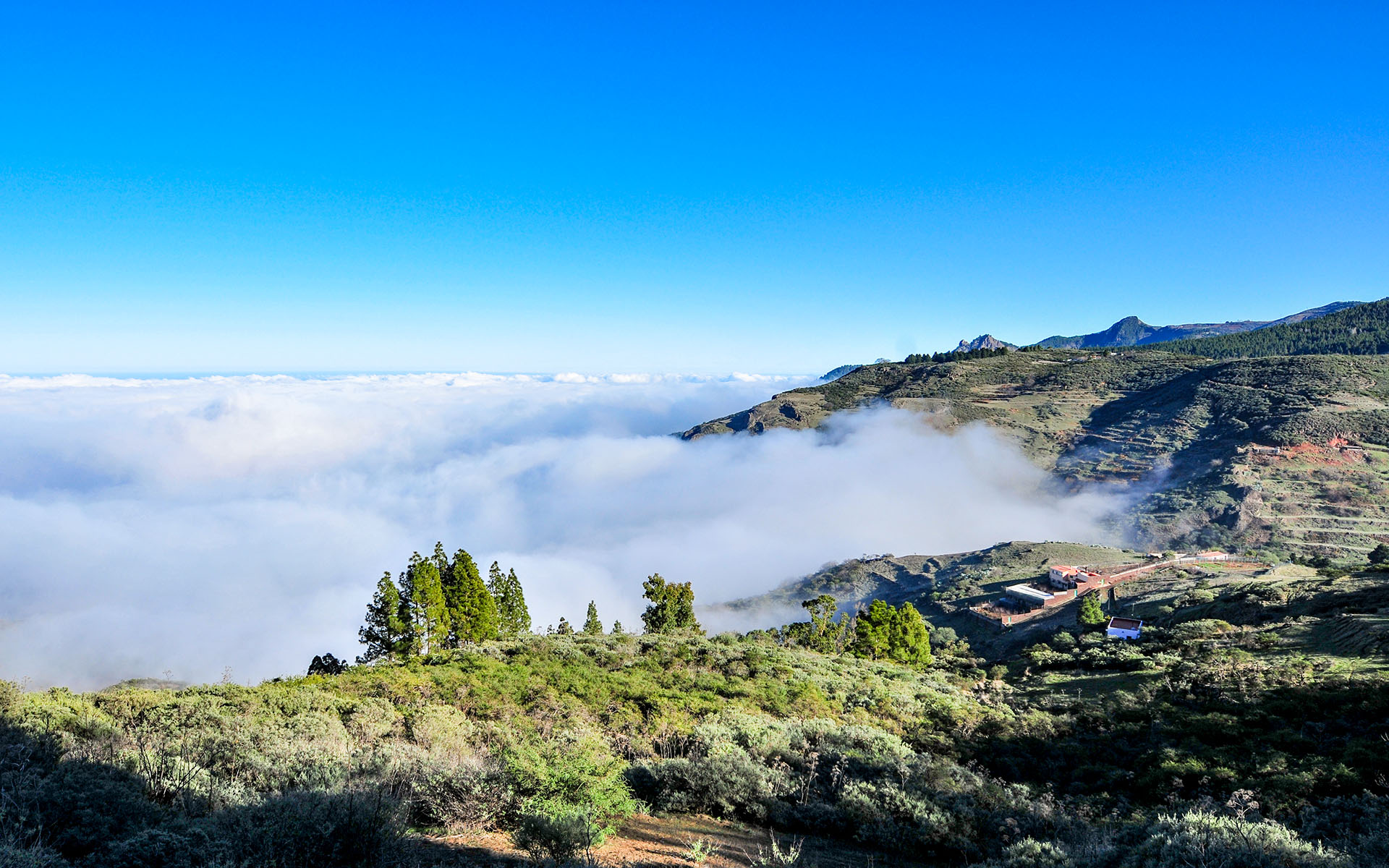 2011.12_Pozo-de-las-Nieves_Gran-Canaria_Canary-Islands_Spain_09