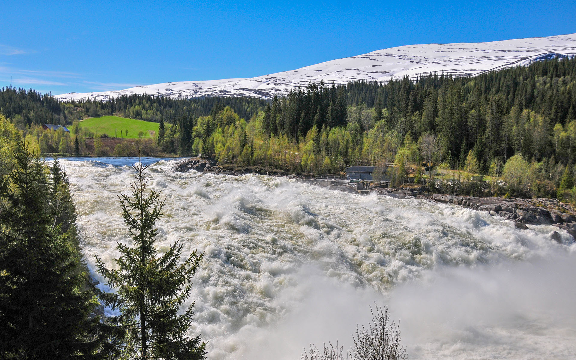 2012.05_Laksforsen_Grane_Nordland_Norway_03