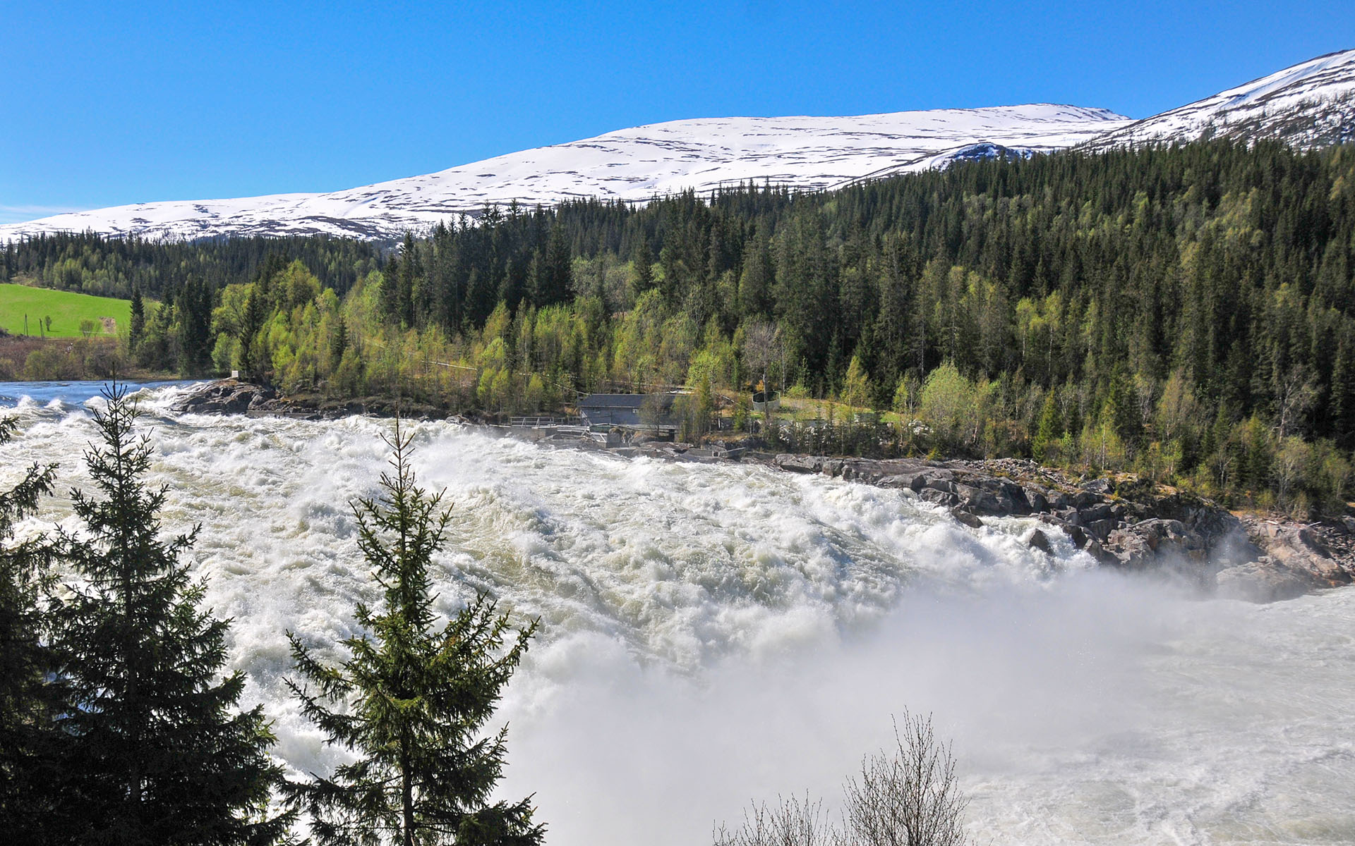 2012.05_Laksforsen_Grane_Nordland_Norway_04
