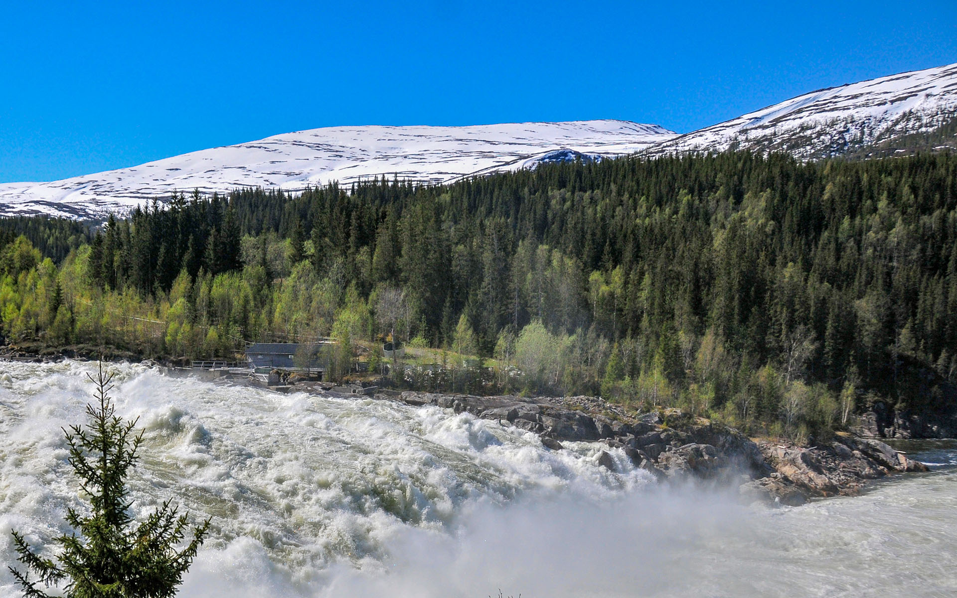 2012.05_Laksforsen_Grane_Nordland_Norway_05