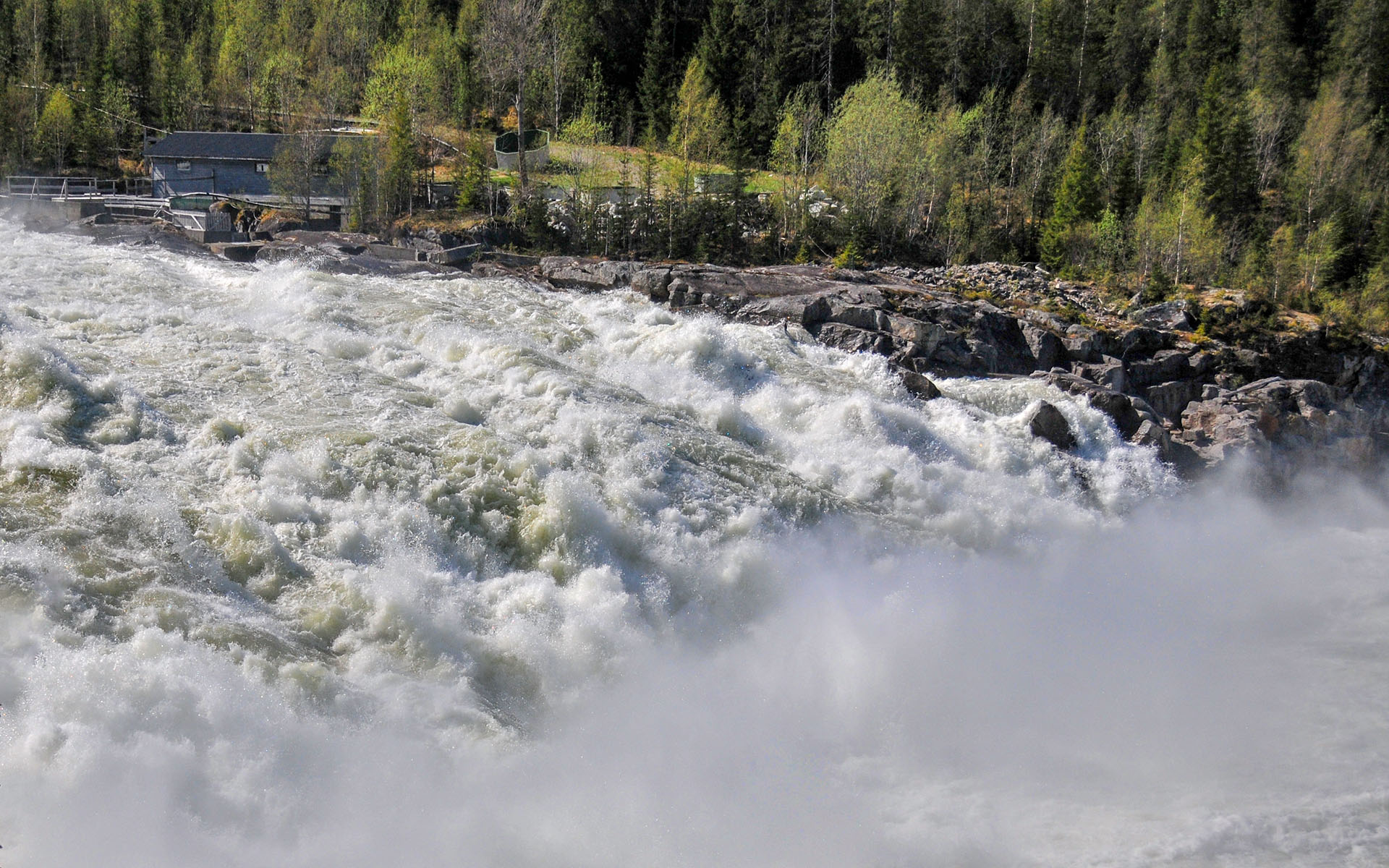 2012.05_Laksforsen_Grane_Nordland_Norway_06
