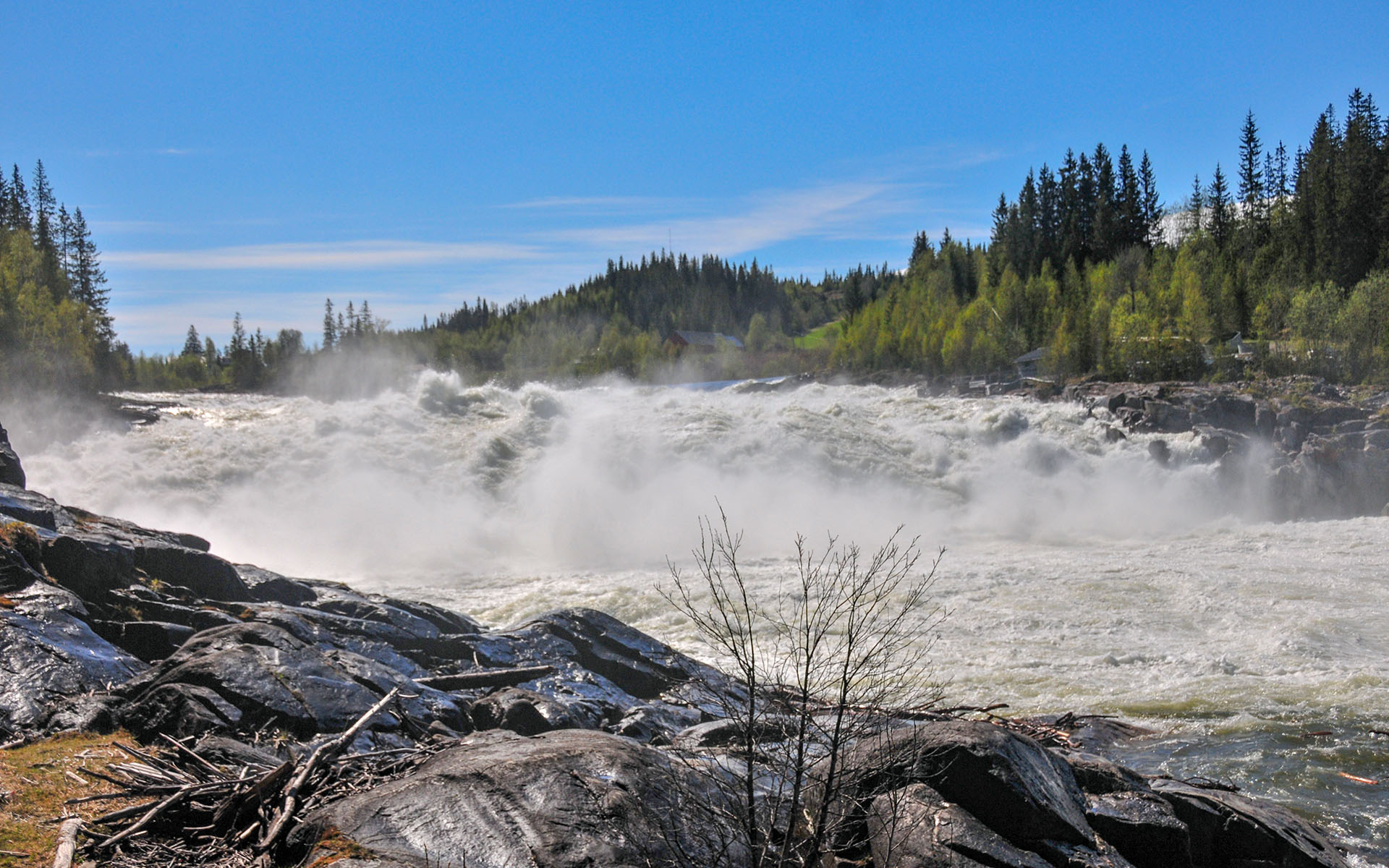 2012.05_Laksforsen_Grane_Nordland_Norway_07