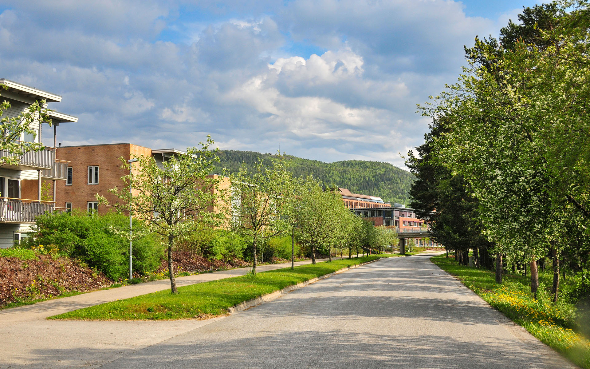 2012.05_Steinkjer_Trondelag_Norway_05