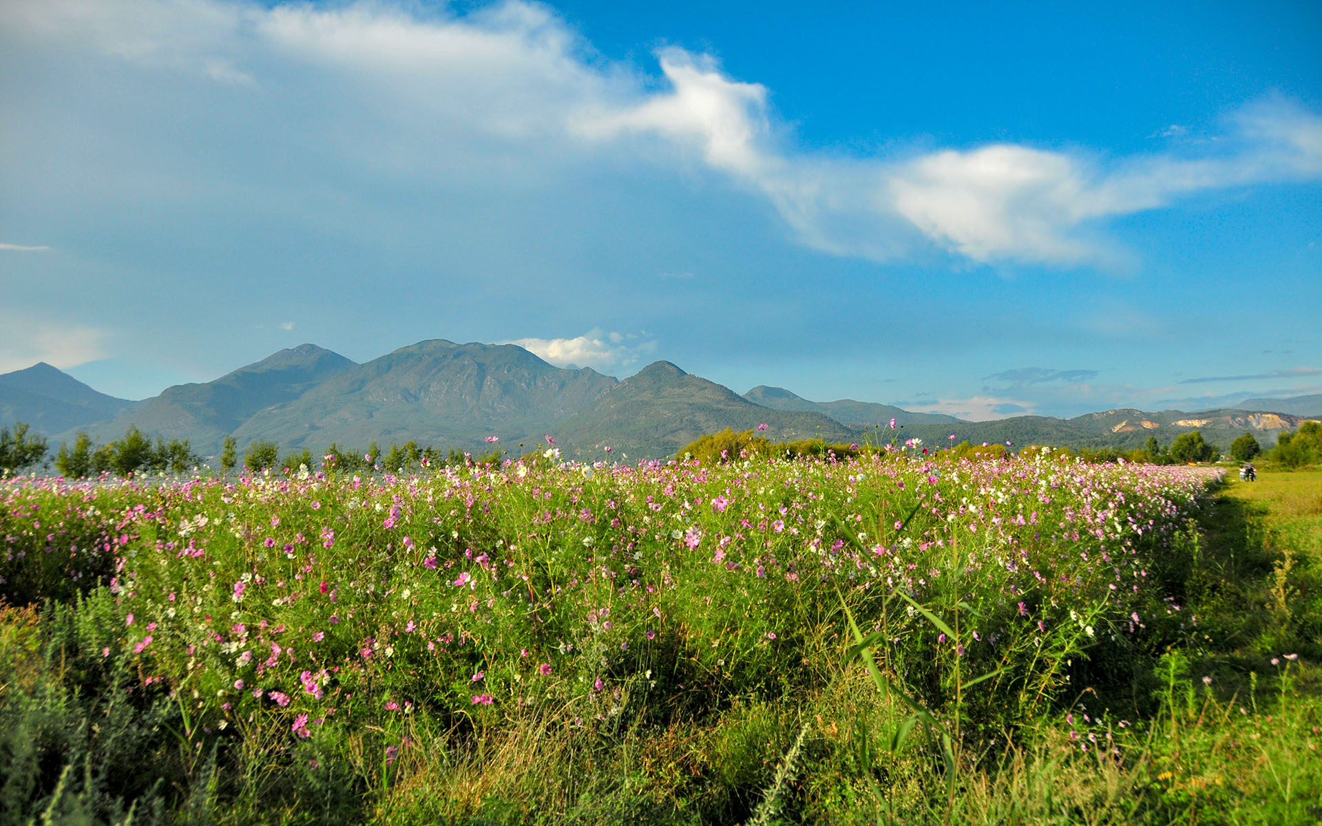 2014.09_Lashi-Sea_Lijiang_Yunnan_China_03