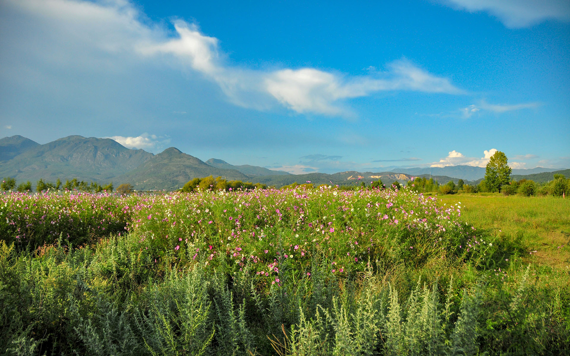 2014.09_Lashi-Sea_Lijiang_Yunnan_China_04