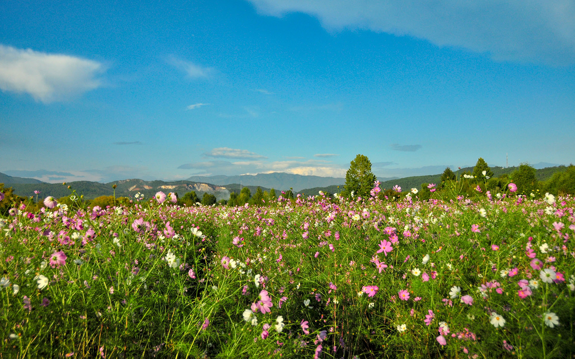 2014.09_Lashi-Sea_Lijiang_Yunnan_China_05