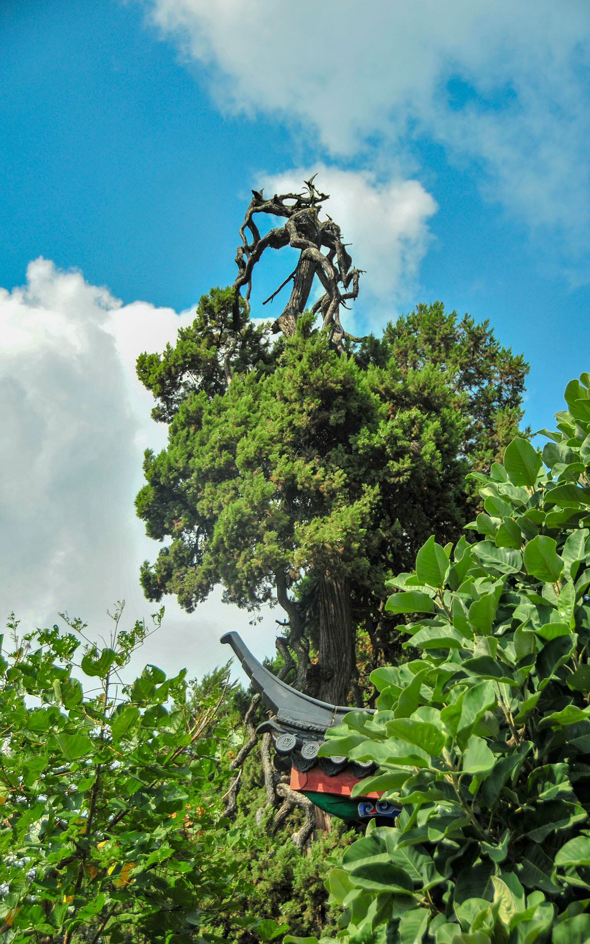 2014.09_Mufu-Palace_Lijiang_Yunnan_China_07